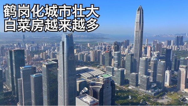从“嘲笑鹤岗”到“成为鹤岗”：越来越多三四线城市正在经历一场无声的城市收缩