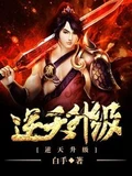 逆天升级全本 作者：白手