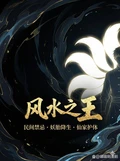 风水之王 作者：紫梦游龙