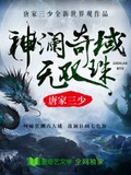 神澜奇域无双珠全本 作者：唐家三少