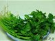 风寒感冒吃8种食物最有效