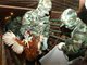 台湾确认爆发禽流感养殖场142处 防疫形势严峻