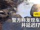 实拍在美失踪中国夫妇疑坠崖 尸体被打捞上岸