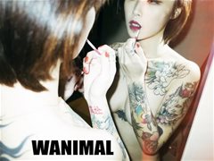 王动官方出品VIP法拉利女孩纹身无圣光人体艺术写真