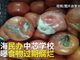 曝上海中芯学校后厨食品过期发霉:番茄腐烂