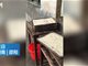 实拍湖南邵阳小学苍蝇饭视频  回应：剩饭学生没吃