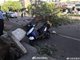 北京大风已致4人身亡 一外卖小哥被大树砸中离世