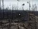 痛心!航拍被大火烧毁的亚马逊雨林