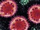 新冠状病毒肺炎已确诊571例 17例死亡