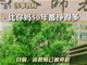 爆天津一教师对比家长收入歧视学生