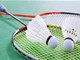 中国羽毛球运动员朱俊豪、张滨榕因赌球被禁赛两年