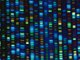 历史性突破!国际科学团队完成人类最完整的基因组序列