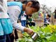 9月起 中小学生要学煮饭种菜修家电