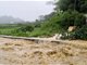 福建武平特大暴雨已致4死2失踪
