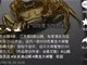 山姆50万元黄金大闸蟹被指侵权