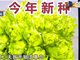 夫妻吃饭后全身出血怀疑网购的蔬菜 医院诊断为杀鼠剂中毒